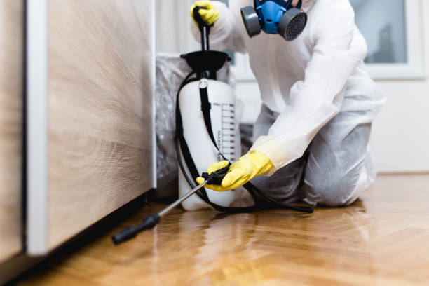 Best Flea Control Services  in Covedale, OH