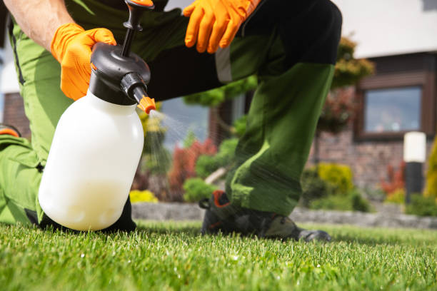 Best Mosquito Control Services  in Covedale, OH