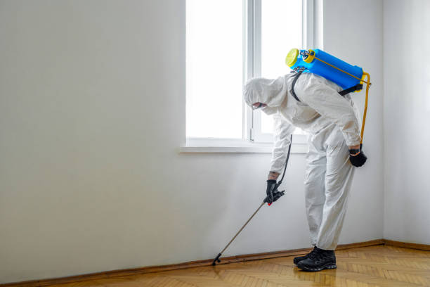 Best Emergency Pest Control  in Covedale, OH