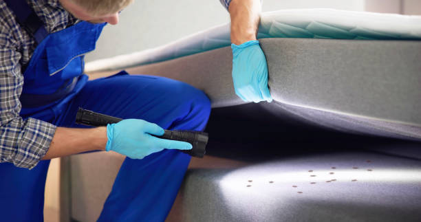 Best Pest Inspection Near Me  in Covedale, OH