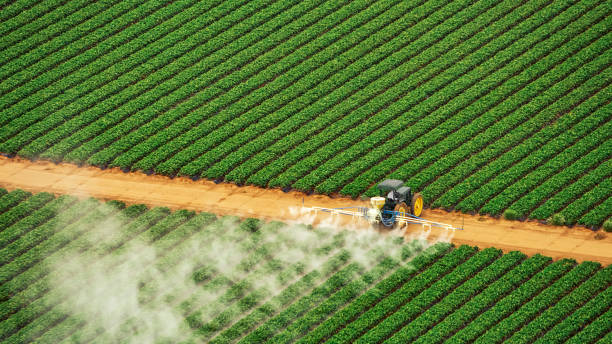 Best Affordable Exterminators  in Covedale, OH