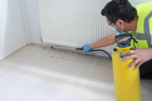 Best Pest Control Near Me  in Covedale, OH